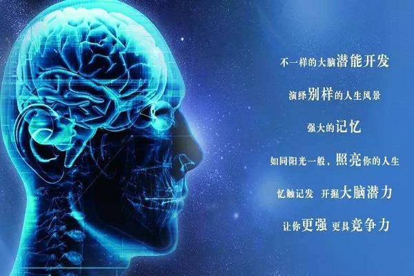 智心泉腦潛能加盟