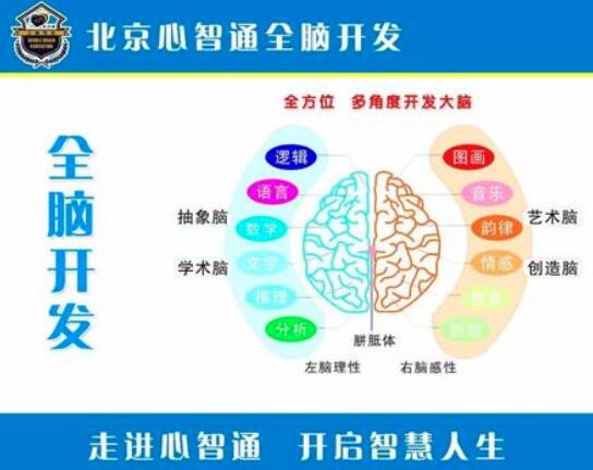 左右腦開發訓練加盟