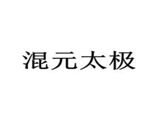 乾坤混元太極武術培訓
