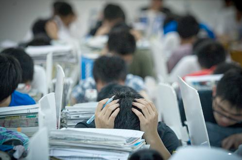新學涯高考填志愿加盟優勢有哪些？